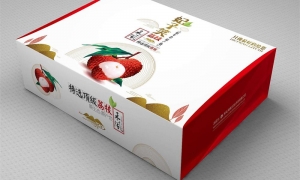 卡盒：方寸之间的秩序与艺术——纵览其种类与应用